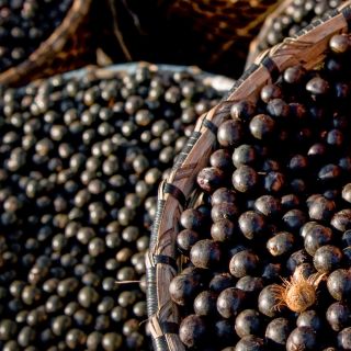 Açai